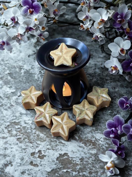 Wax Melts - Black Orchid
