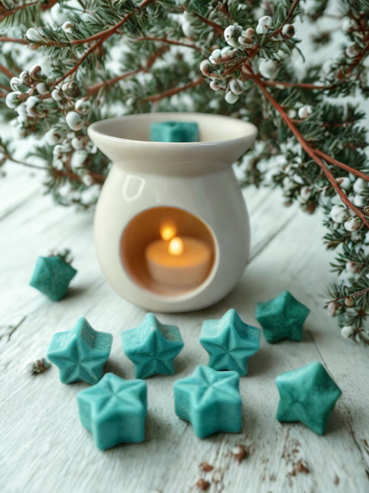 Wax Melts - Peppermint & Eucalyptus